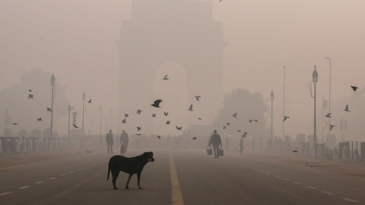 Fotky: Nic než smog. Znečištěné ovzduší v Dillí láme rekordy